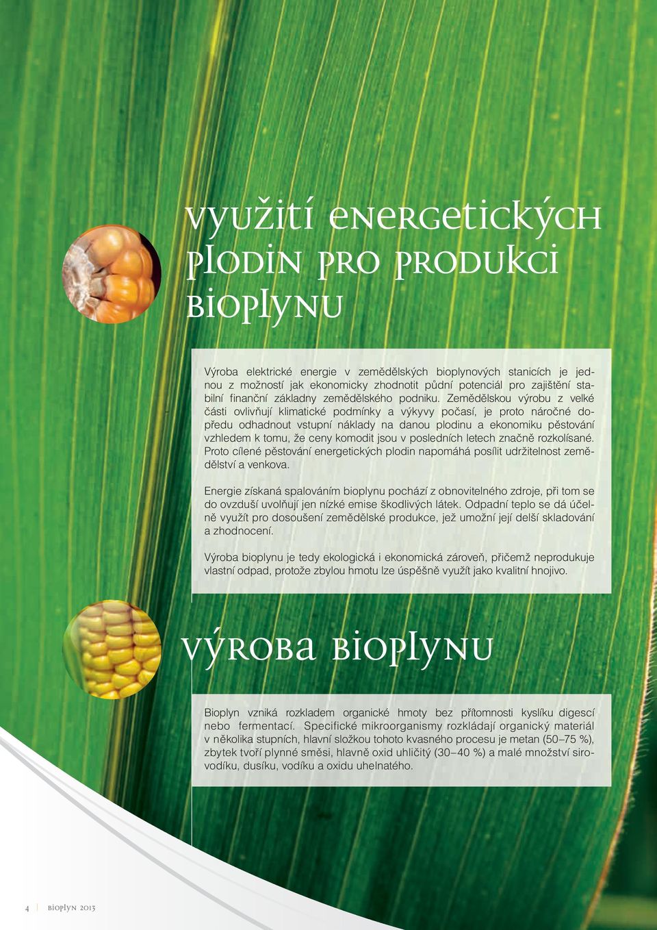 Zemědělskou výrobu z velké části ovlivňují klimatické podmínky a výkyvy počasí, je proto náročné dopředu odhadnout vstupní náklady na danou plodinu a ekonomiku pěstování vzhledem k tomu, že ceny