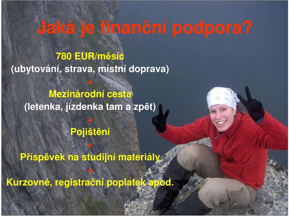 Mezinárodní cesta (letenka, jízdenka tam a zpět) +