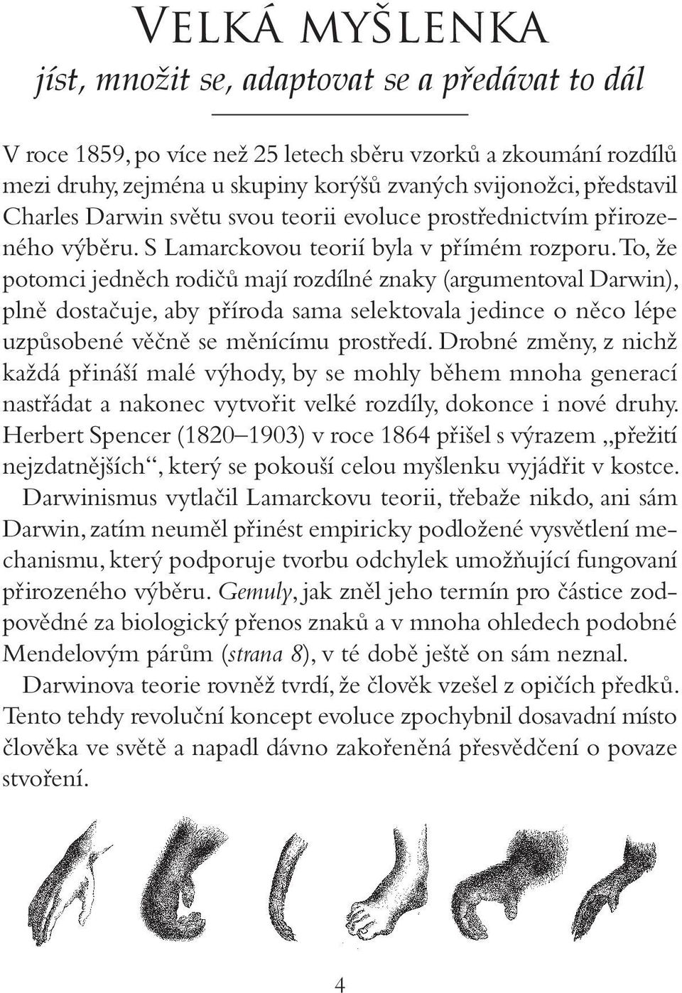 To, že potomci jedněch rodičů mají rozdílné znaky (argumentoval Darwin), plně dostačuje, aby příroda sama selektovala jedince o něco lépe uzpůsobené věčně se měnícímu prostředí.