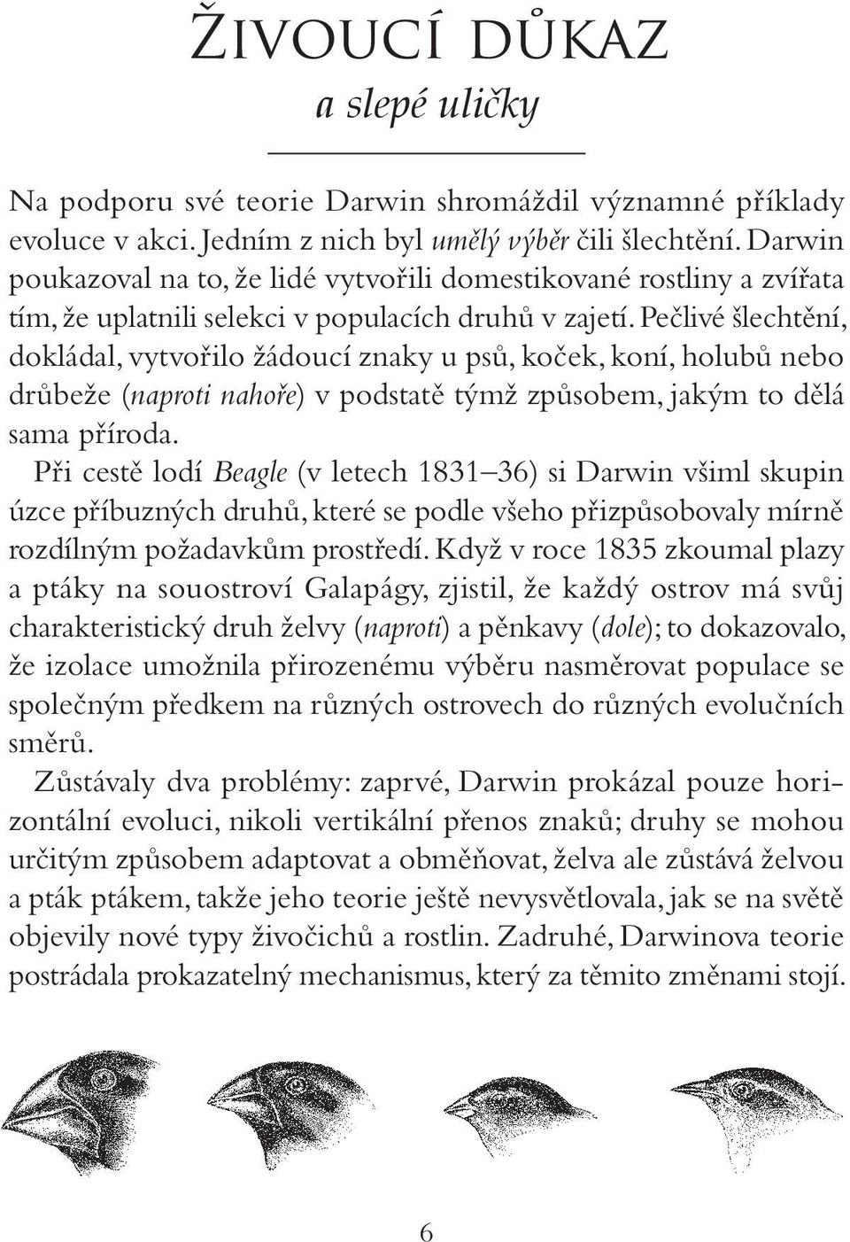 Pečlivé šlechtění, dokládal, vytvořilo žádoucí znaky u psů, koček, koní, holubů nebo drůbeže (naproti nahoře) v podstatě týmž způsobem, jakým to dělá sama příroda.