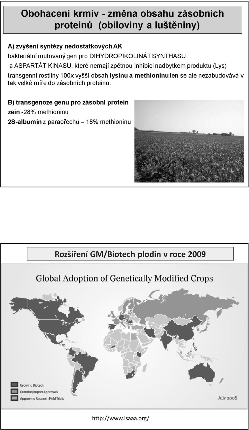 rostliny 100x vyšší obsah lysinu a methioninu ten se ale nezabudovává v tak velké míře do zásobních proteinů.