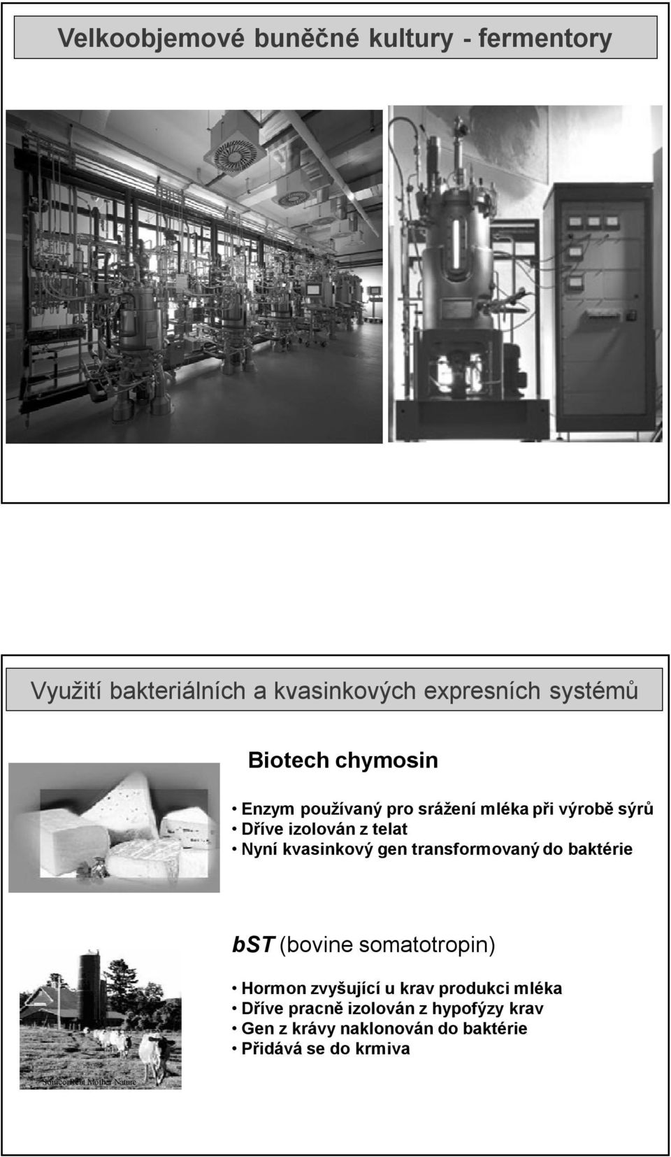 gen transformovaný do baktérie bst (bovine somatotropin) Hormon zvyšující u krav produkci mléka Dříve