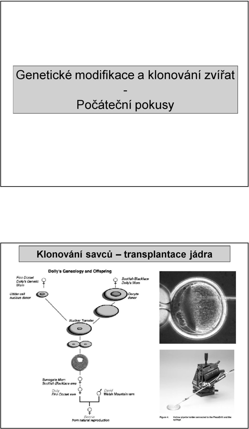 Počáteční pokusy