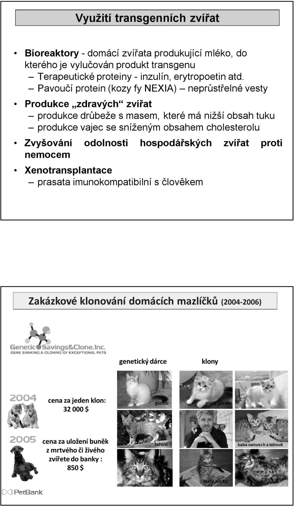 cholesterolu Zvyšování odolnosti hospodářských zvířat proti nemocem Xenotransplantace prasata imunokompatibilní s člověkem Zakázkové klonování domácích mazlíčků