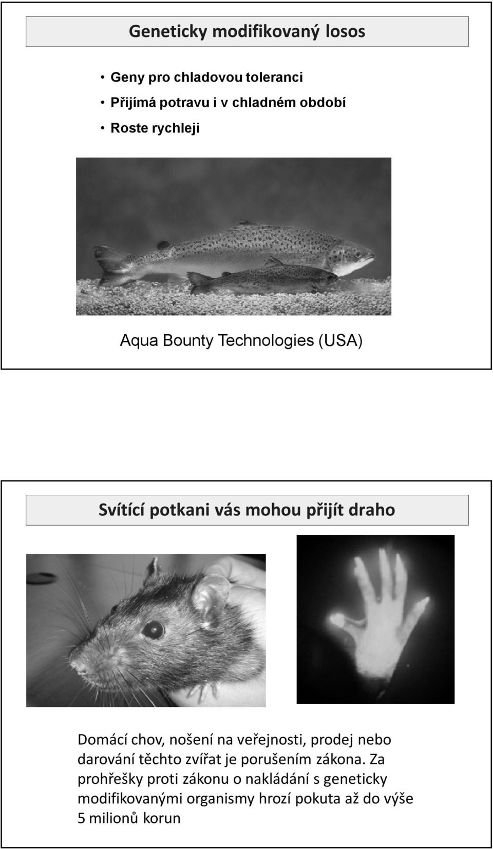 chov, nošení na veřejnosti, prodej nebo darování těchto zvířat je porušením zákona.