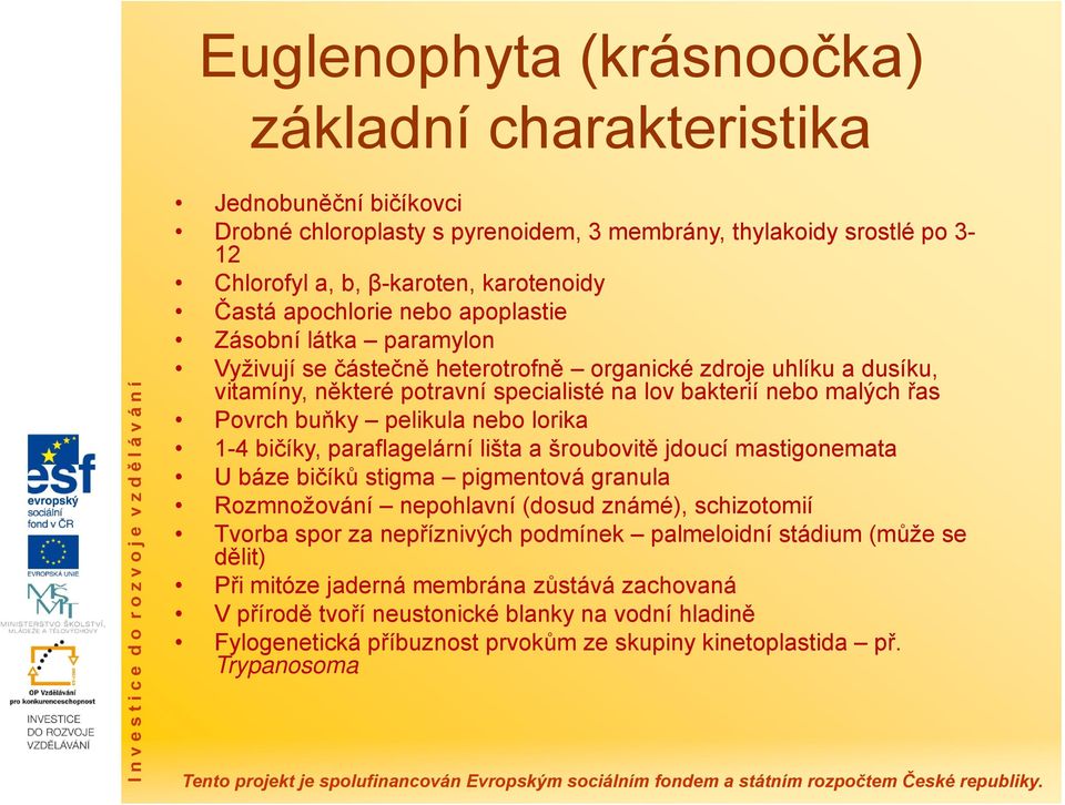 buňky pelikula nebo lorika 1-4 bičíky, paraflagelární lišta a šroubovitě jdoucí mastigonemata U báze bičíků stigma pigmentová granula Rozmnožování nepohlavní (dosud známé), schizotomií Tvorba spor za