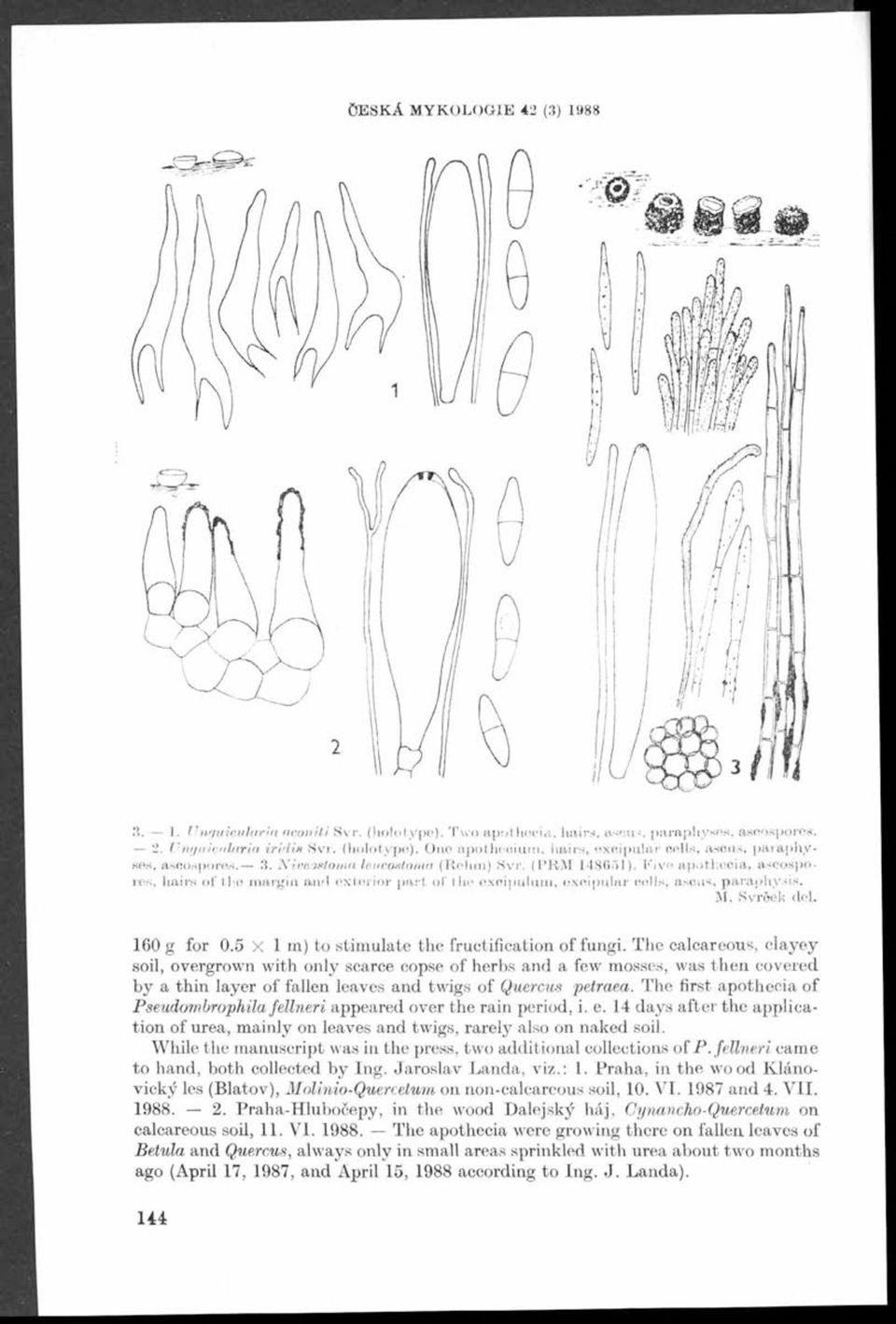 160 g for 0.5 x 1 m) to stim ulate the fructification of fungi.