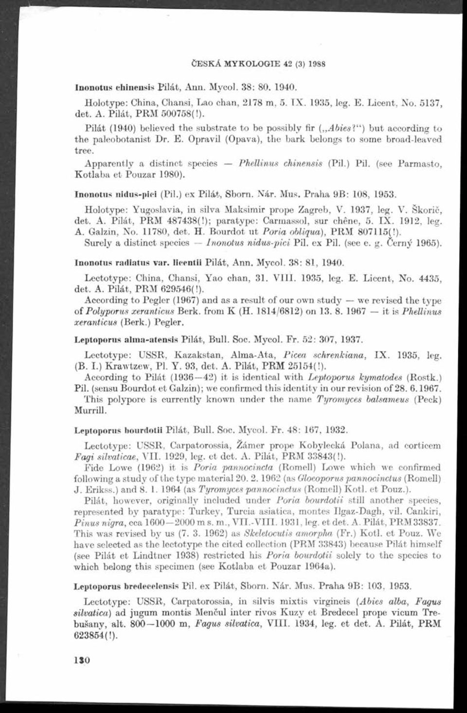 A pparently a distinct species Phellinus cliinensis (Pil.) Pil. (see Parm asto, K otlaba et Pouzar 1980). nonotus nidus-pici (Pil.) ex P ilát, Sborn. Nár. Mus. P rah a 9B: 108, 1953.