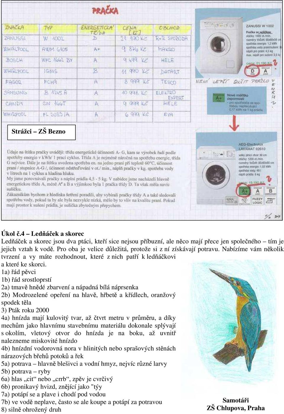 1a) řád pěvci 1b) řád srostloprstí 2a) tmavě hnědé zbarvení a nápadná bílá náprsenka 2b) Modrozelené opeření na hlavě, hřbetě a křídlech, oranžový spodek těla 3) Pták roku 2000 4a) hnízda mají