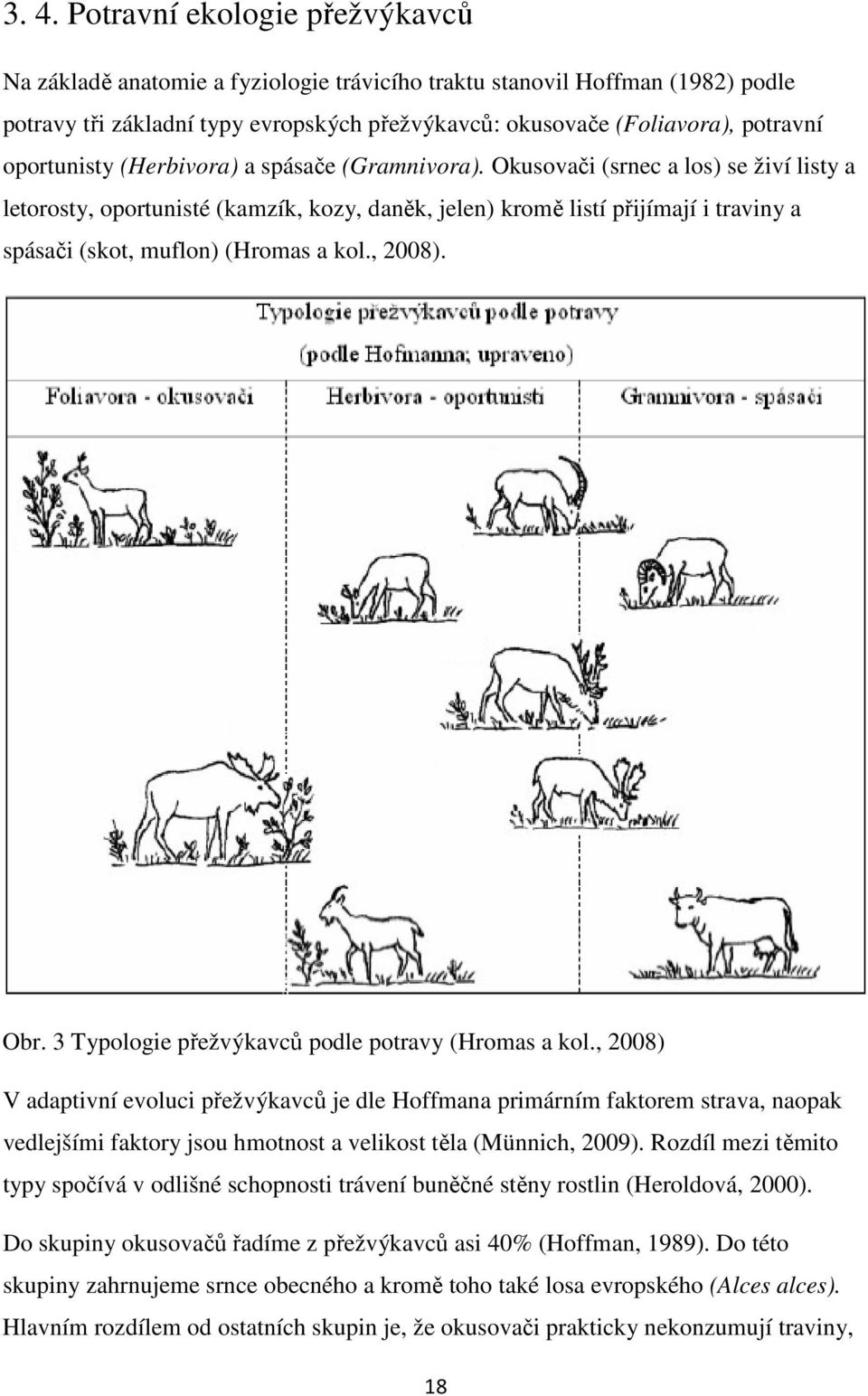 Okusovači (srnec a los) se živí listy a letorosty, oportunisté (kamzík, kozy, daněk, jelen) kromě listí přijímají i traviny a spásači (skot, muflon) (Hromas a kol., 2008). Obr.