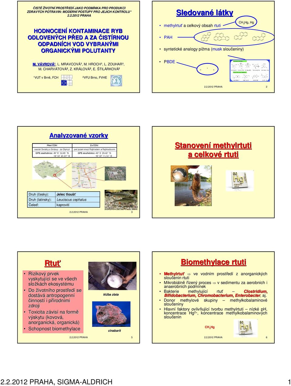 KRÁLOV LOVÁ, E. ŠTILÁRKOVÁ Sledované látky methylrtuť a celkový obsah rtuti PAH syntetické analogy pižma (musk sloučeniny) PBDE CH 3 Hg, Hg 1 VUT v Brně, FCH VFU Brno, FVHE.