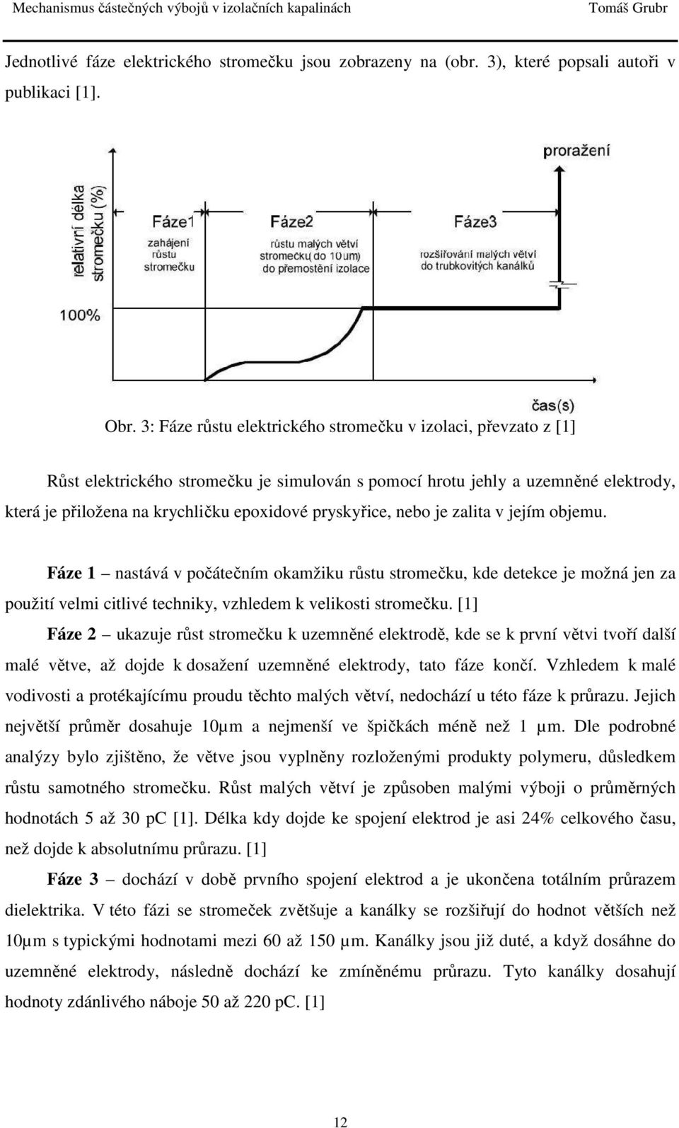 pryskyřice, nebo je zalita v jejím objemu. Fáze 1 nastává v počátečním okamžiku růstu stromečku, kde detekce je možná jen za použití velmi citlivé techniky, vzhledem k velikosti stromečku.