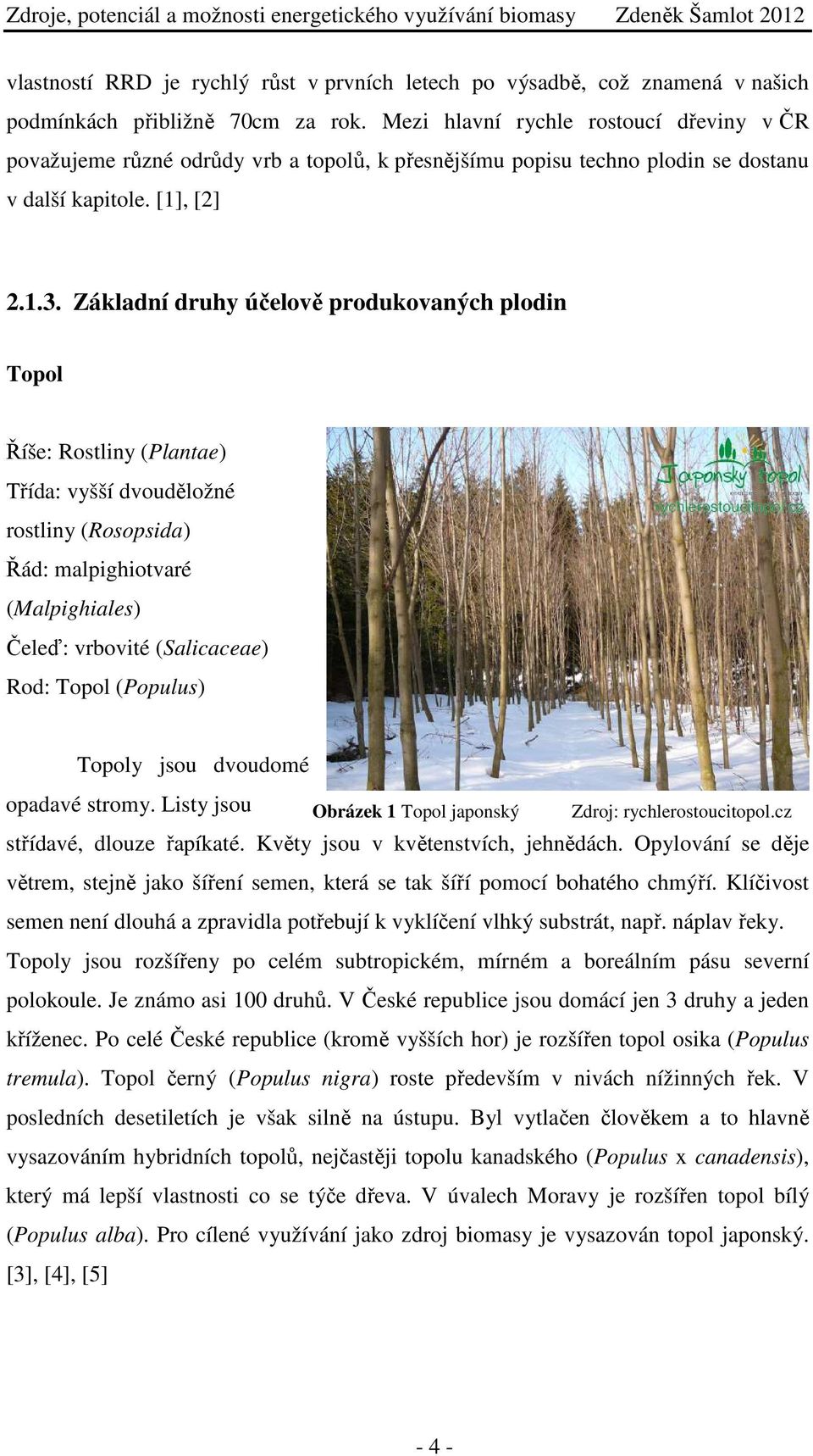 Základní druhy účelově produkovaných plodin Topol Říše: Rostliny (Plantae) Třída: vyšší dvouděložné rostliny (Rosopsida) Řád: malpighiotvaré (Malpighiales) Čeleď: vrbovité (Salicaceae) Rod: Topol