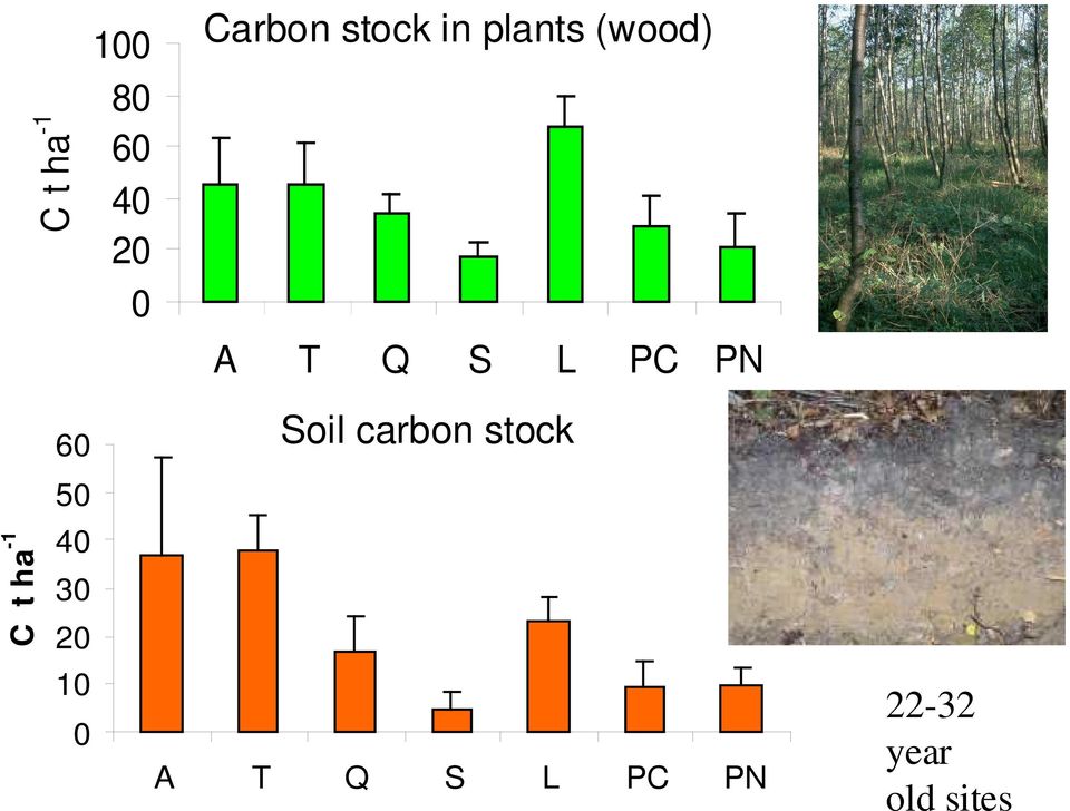 C t ha -1 60 50 40 30 20 10 0 Soil