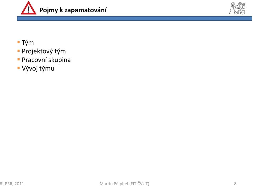 Projektový tým