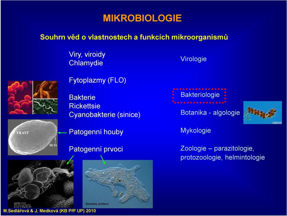 Cyanobakterie (sinice) Patogenní houby Patogenní prvoci Bakteriologie