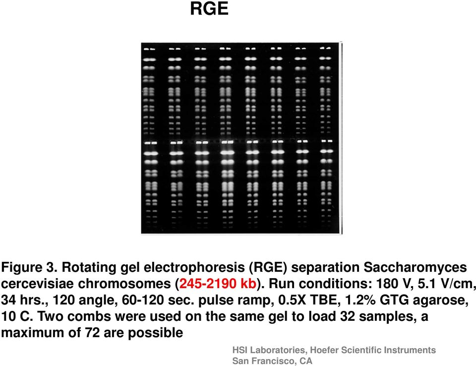 kb). Run conditions: 180 V, 5.1 V/cm, 34 hrs., 120 angle, 60-120 sec. pulse ramp, 0.5X TBE, 1.