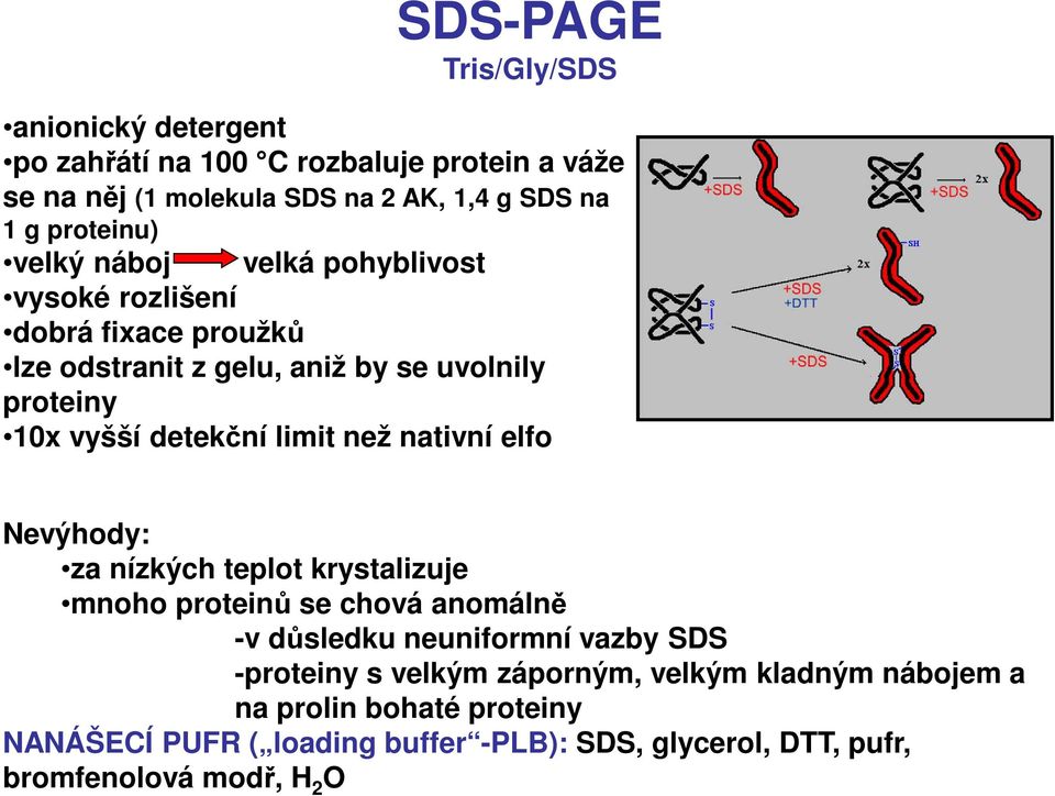 detekční limit než nativní elfo Nevýhody: za nízkých teplot krystalizuje mnoho proteinů se chová anomálně -v důsledku neuniformní vazby SDS