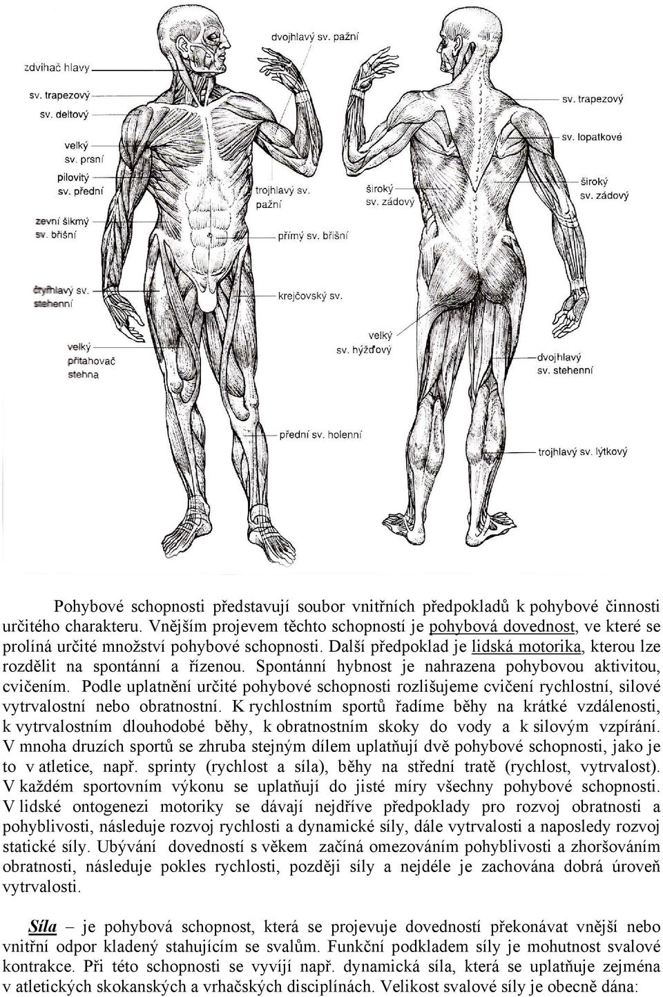 Spontánní hybnost je nahrazena pohybovou aktivitou, cvičením. Podle uplatnění určité pohybové schopnosti rozlišujeme cvičení rychlostní, silové vytrvalostní nebo obratnostní.