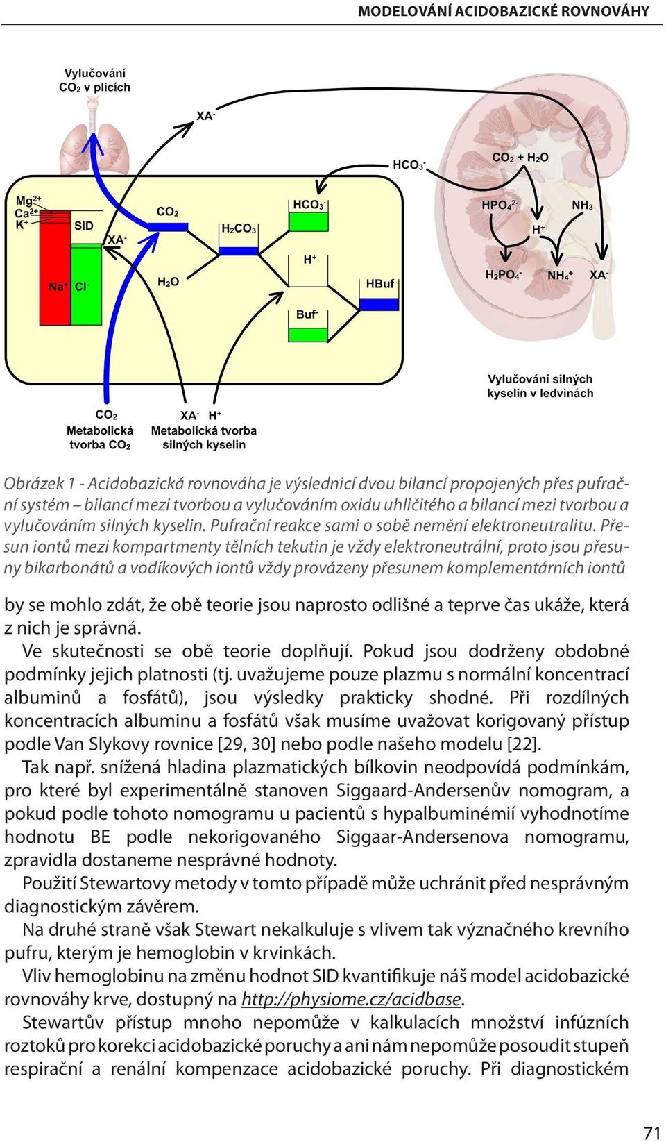 Přesun iontů mezi kompartmenty tělních tekutin je vždy elektroneutrální, proto jsou přesuny bikarbonátů a vodíkových iontů vždy provázeny přesunem komplementárních iontů by se mohlo zdát, že obě