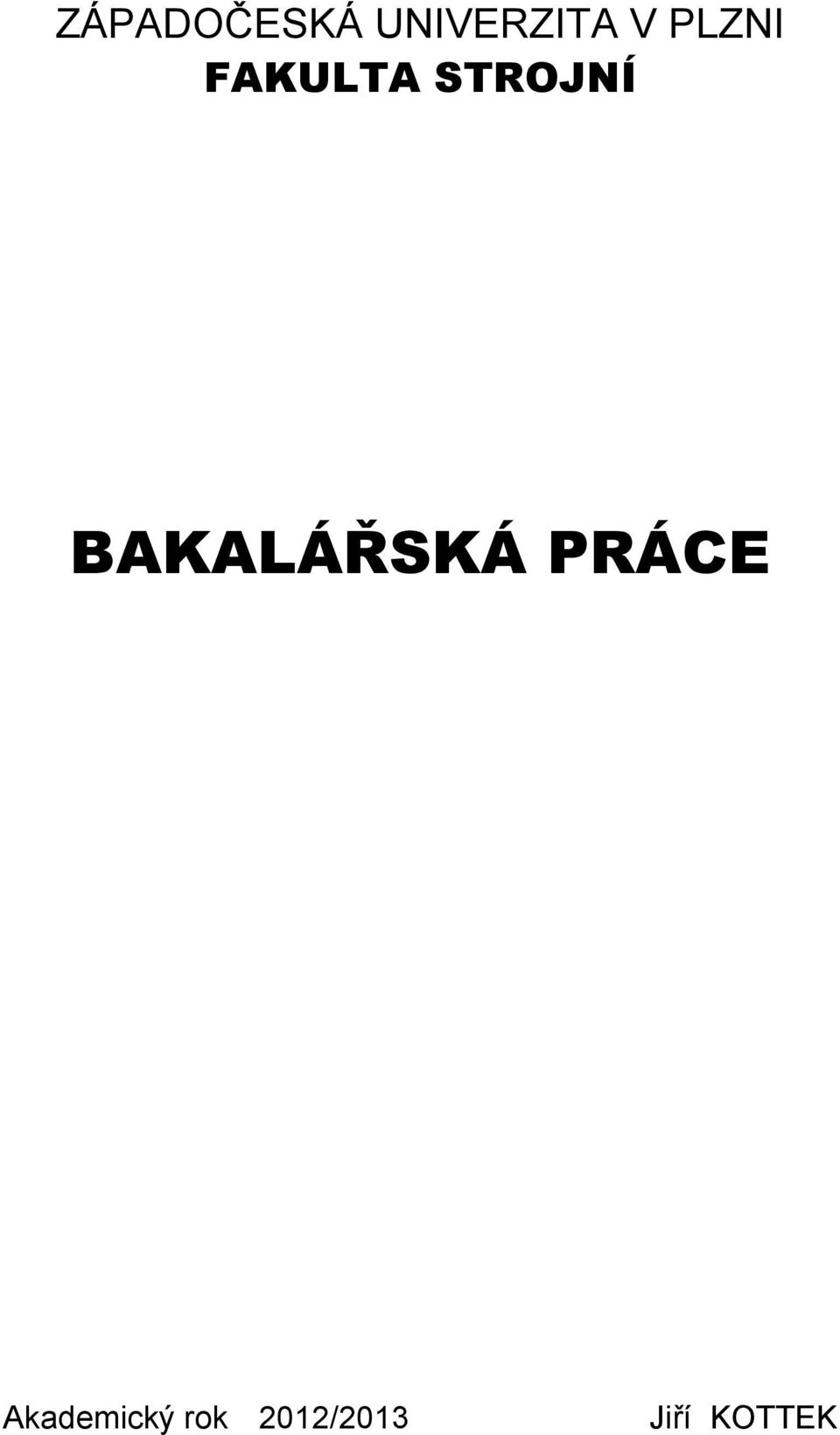 BAKALÁŘSKÁ PRÁCE