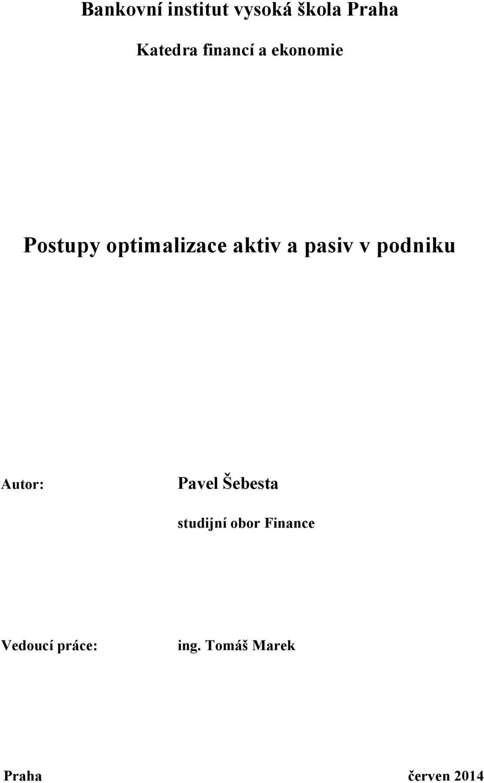 pasiv v podniku Autor: Pavel Šebesta studijní obor