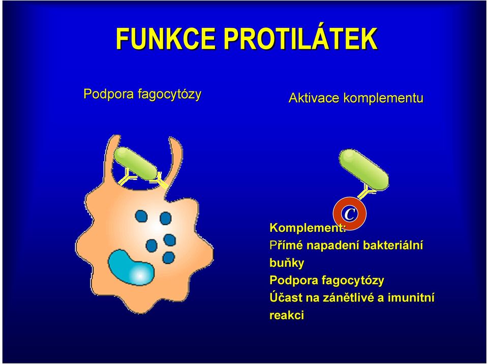 Přímé napadení bakteriální buňky