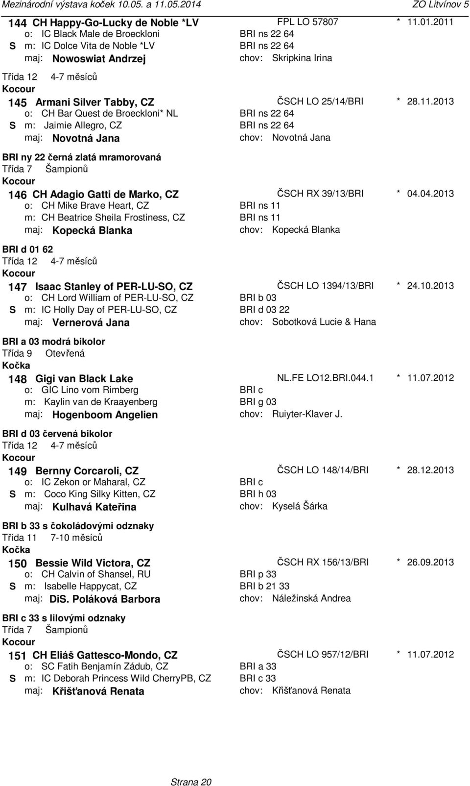 28112013 BRI ny 22 černá zlatá mramorovaná Třída 7 Šampionů 146 CH Adagio Gatti de Marko, CZ CH Mike Brave Heart, CZ CH Beatrice Sheila Frostiness, CZ maj: Kopecká Blanka ČSCH RX 39/13/BRI BRI ns 11