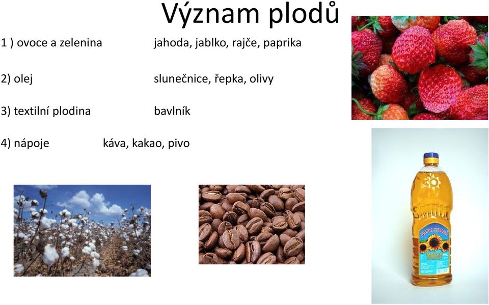 slunečnice, řepka, olivy 3) textilní