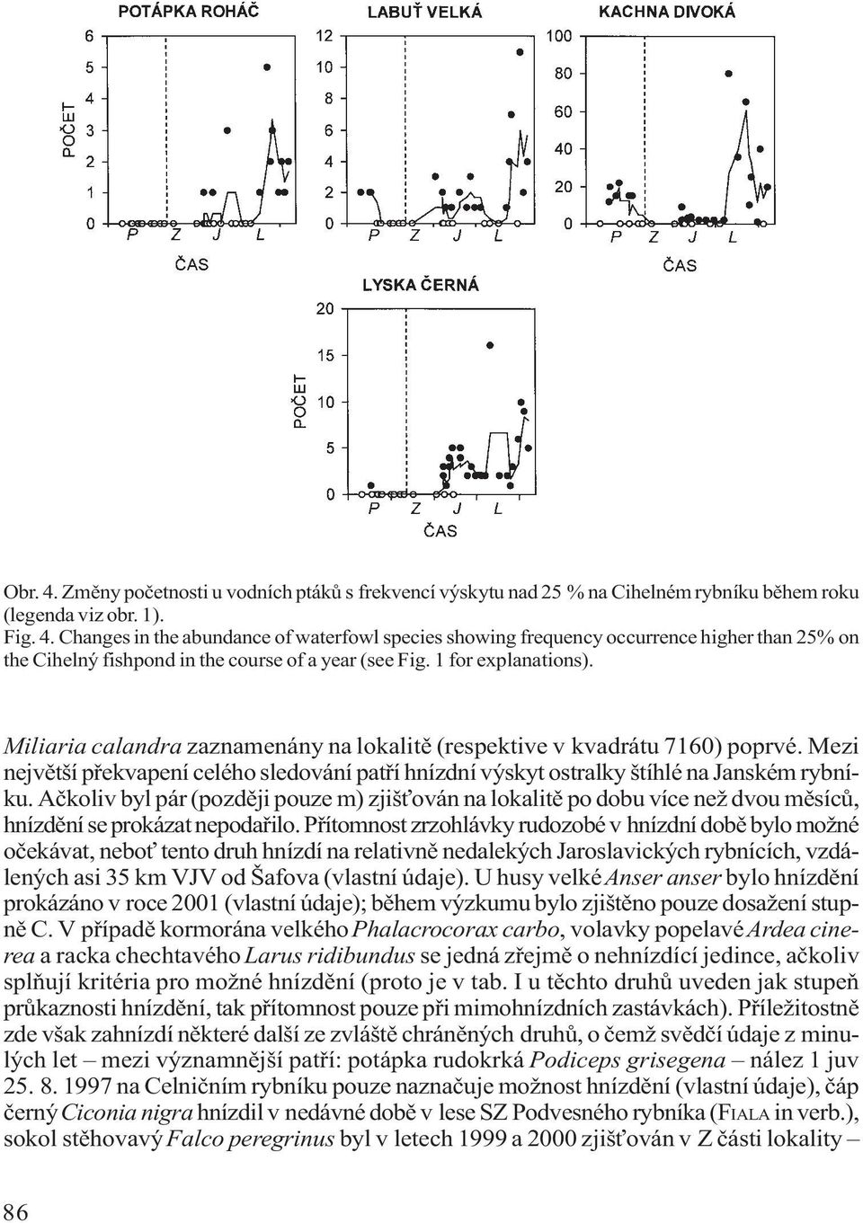 Aèkoliv byl pár (pozdìji pouze m) zjiš ován na lokalitì po dobu více než dvou mìsícù, hnízdìní se prokázat nepodaøilo.