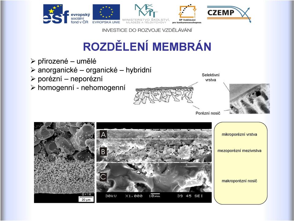 nehomogenní Selektivní vrstva Porézní nosič