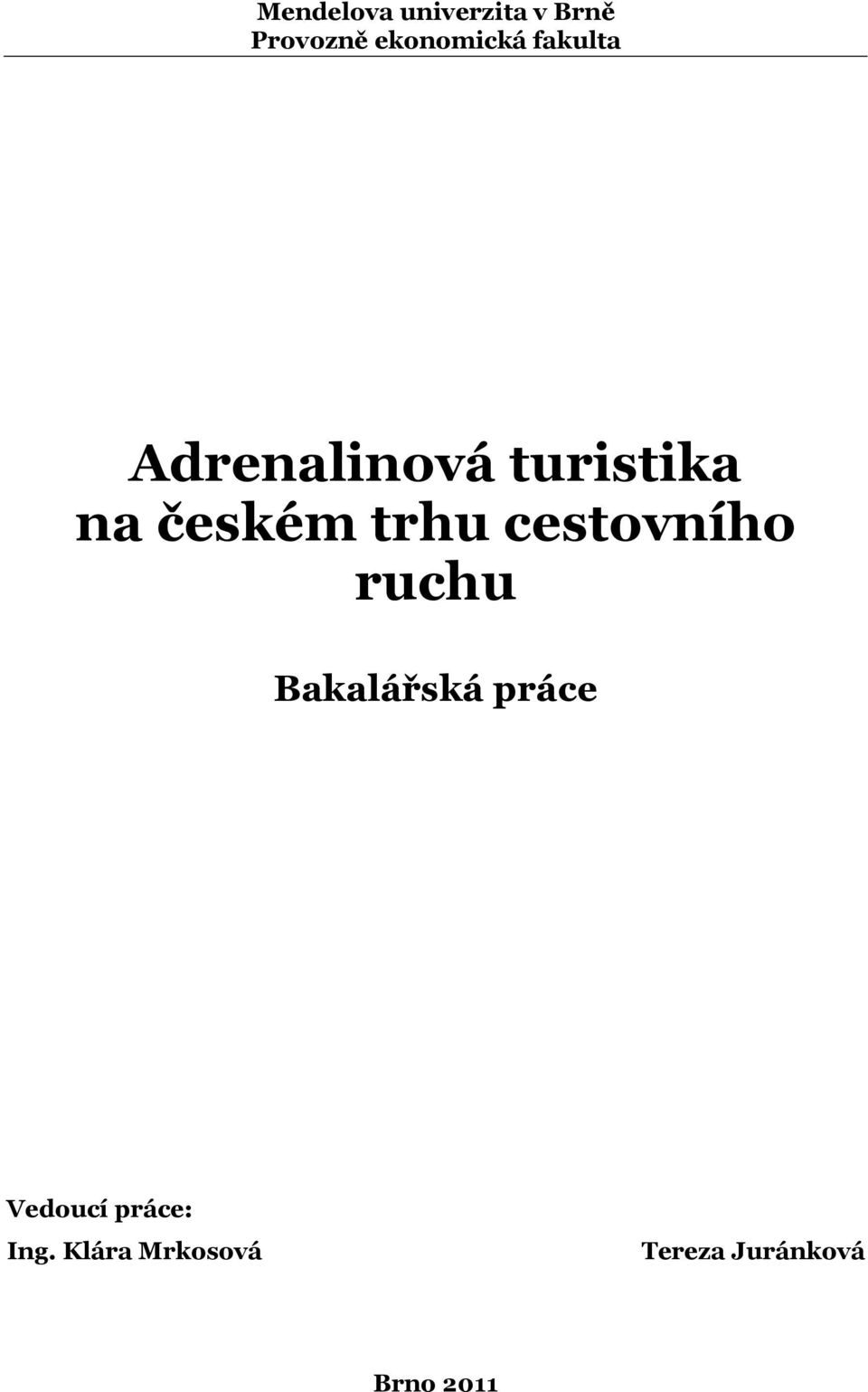 cestovního ruchu Bakalářská práce Vedoucí