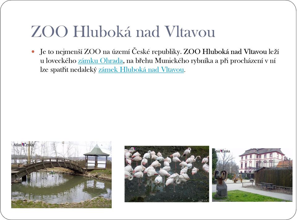 ZOO Hluboká nad Vltavou leží u loveckého zámku Ohrada,