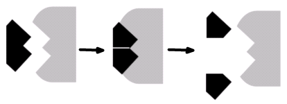 Mechanismus fungvání enzymů Terie zámku a klíče (lck and key thery): enzym bsahuje AKTIVNÍ CENTRUM = VAZEBNÉ CENTRUM + KATALYTICKÉ CENTRUM. 2.