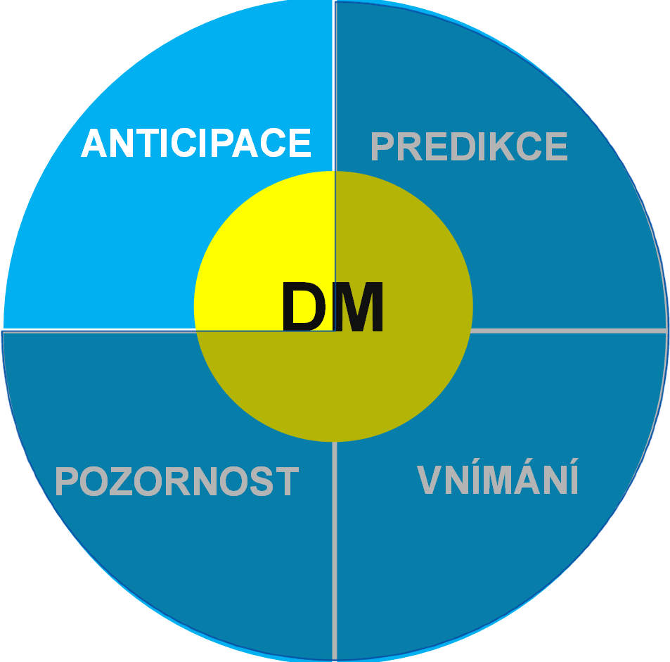 DECISION MAKING KIDS - POJMY ANTICIPACE = předjímání na základě předešlých zkušeností (souvislost s