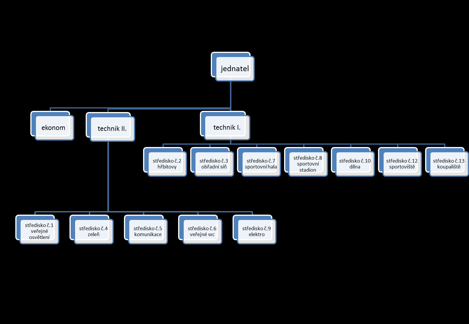 Organizační struktura