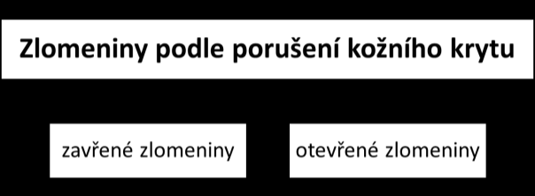 PORANĚNÍ KOSTÍ ZLOMENINA = Vzniká většinou v důsledku přímého působení hrubé síly.