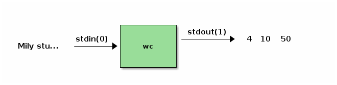 V Unixu má každý proces (program) standardní vstup stdin, standardní výstup stdout a standardní chybový výstup stderr. Vstup standardně čte z klávesnice vždy, když uživatel stiskne klávesu Enter.