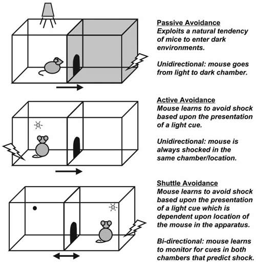 Aktivní vyhýbání x Pasivní vyhýbání Aktivní - subjekt musí aktivně vykonat nějakou činnost, aby se vyhnul trestu One-way active avoidance Two-way shuttle