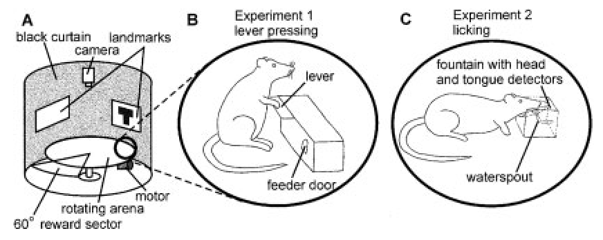 Úloha rozpoznávání místa u pasivně se pohybujícího potkana