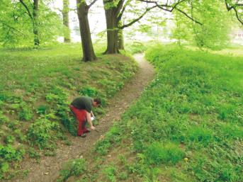 Zdroje dat, terénní šetření a monitoring Mapové a databázové zdroje: Mapování NATURA 2000 - GIS analýzy vrstvy Natura 2000 a chráněných území v plochách NKP, UNESCO, rezervací a zón. Zaměření na: 1.