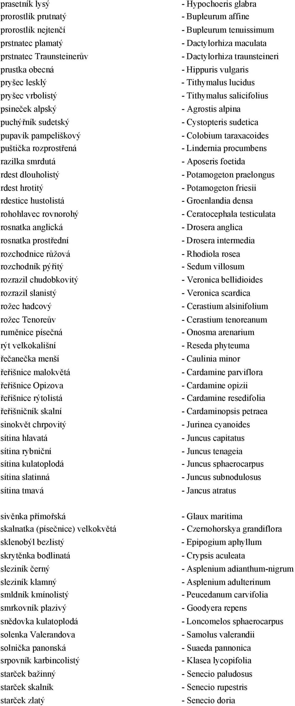 chudobkovitý rozrazil slanistý rožec hadcový rožec Tenoreův ruměnice písečná rýt velkokališní řečanečka menší řeřišnice malokvětá řeřišnice Opizova řeřišnice rýtolistá řeřišničník skalní sinokvět