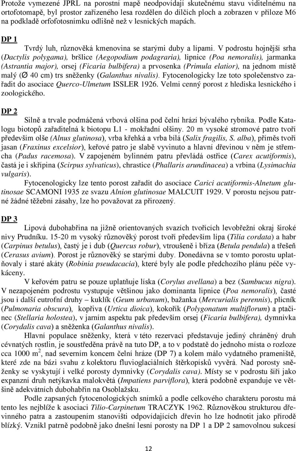 V podrostu hojnější srha (Dactylis polygama), bršlice (Aegopodium podagraria), lipnice (Poa nemoralis), jarmanka (Astrantia major), orsej (Ficaria bulbifera) a prvosenka (Primula elatior), na jednom