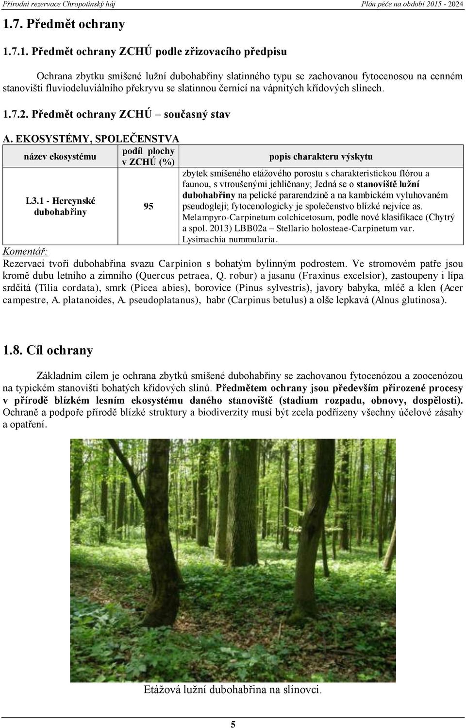 1 - Hercynské dubohabřiny 95 popis charakteru výskytu zbytek smíšeného etážového porostu s charakteristickou flórou a faunou, s vtroušenými jehličnany; Jedná se o stanoviště lužní dubohabřiny na