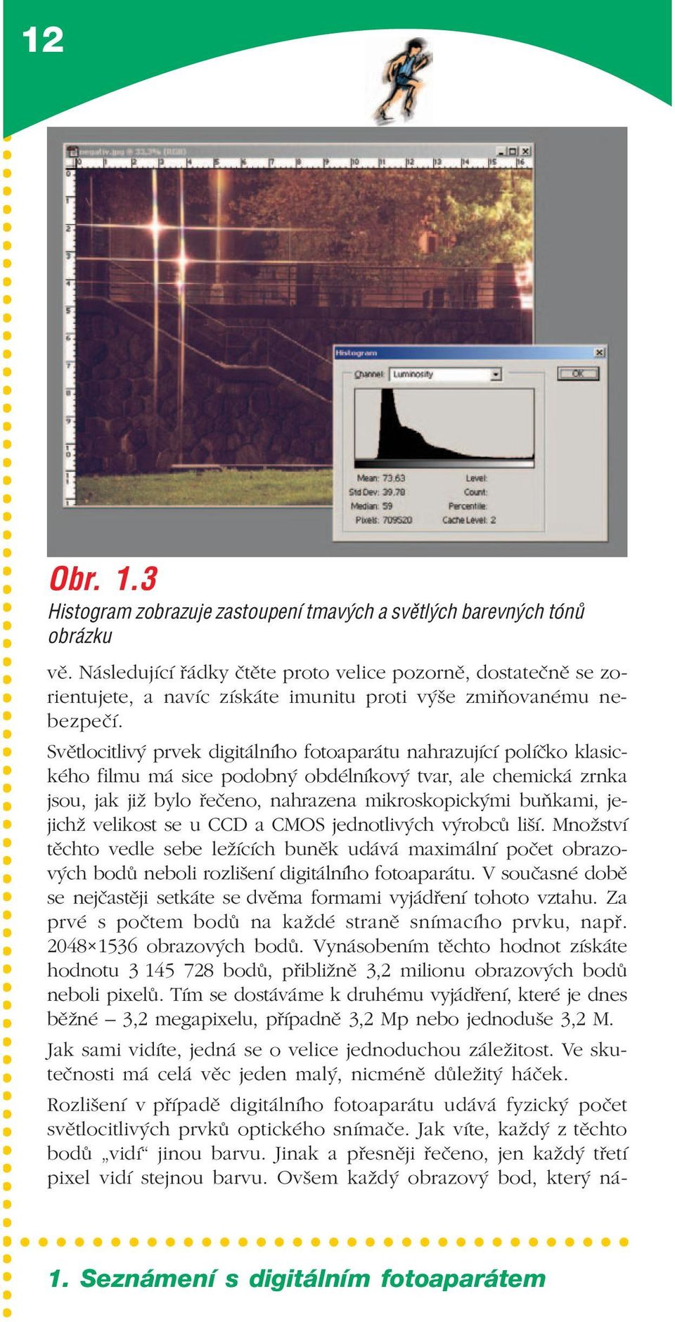 Světlocitlivý prvek digitálního fotoaparátu nahrazující políčko klasic kého filmu má sice podobný obdélníkový tvar, ale chemická zrnka jsou, jak již bylo řečeno, nahrazena mikroskopickými buňkami, je