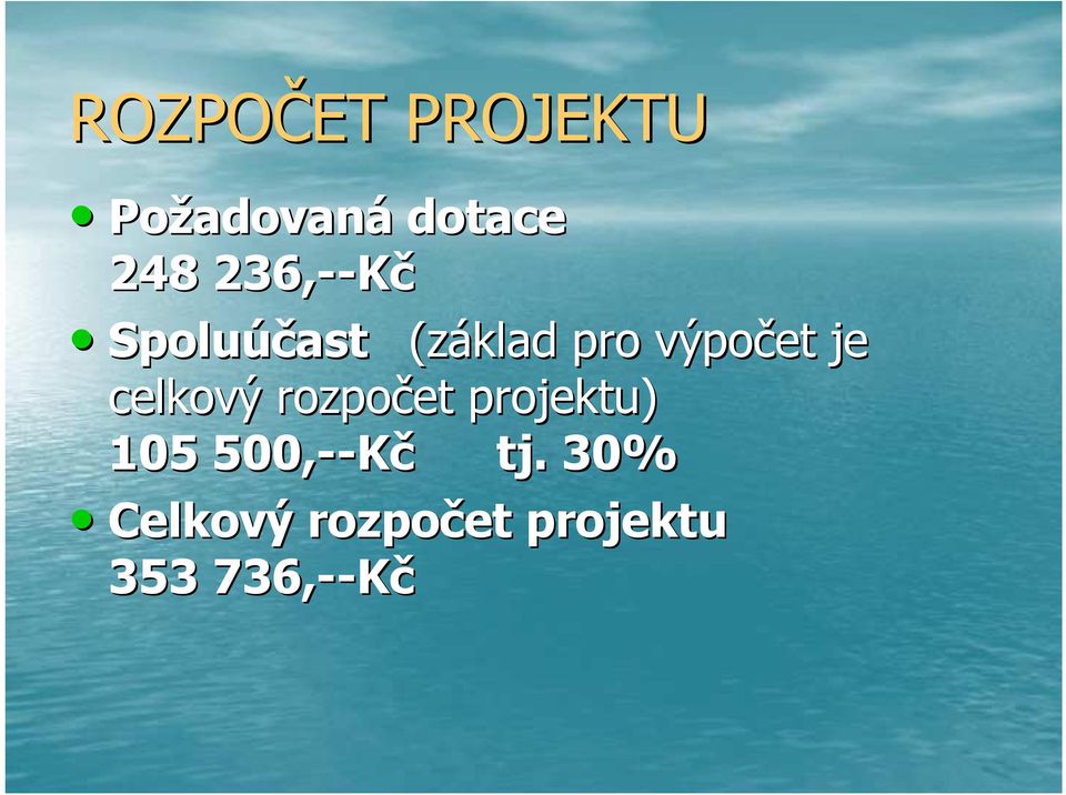 celkový rozpočet projektu) 105 500,-- --Kč tj.