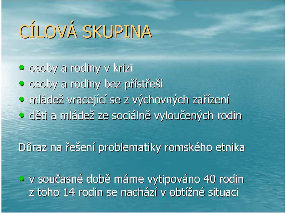 vyloučených rodin Důraz na řešení problematiky romského etnika v současn