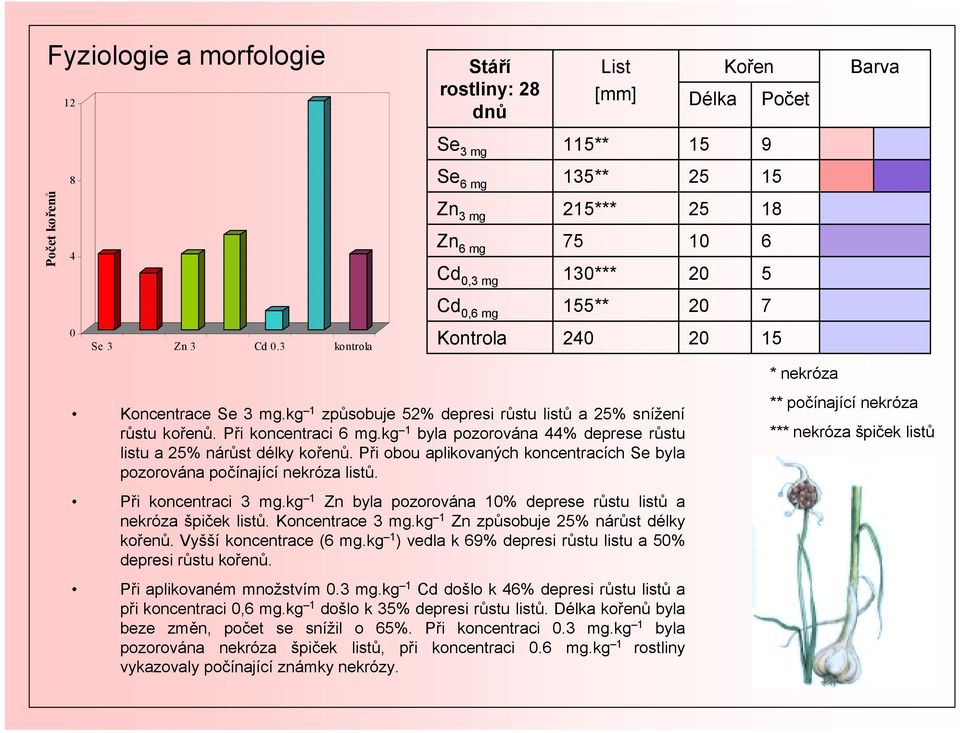 kg 1 byla pozorována % deprese růstu listu a 25% nárůst délky kořenů. Při obou aplikovaných koncentracích Se byla pozorována počínající nekróza listů. Při koncentraci 3 mg.