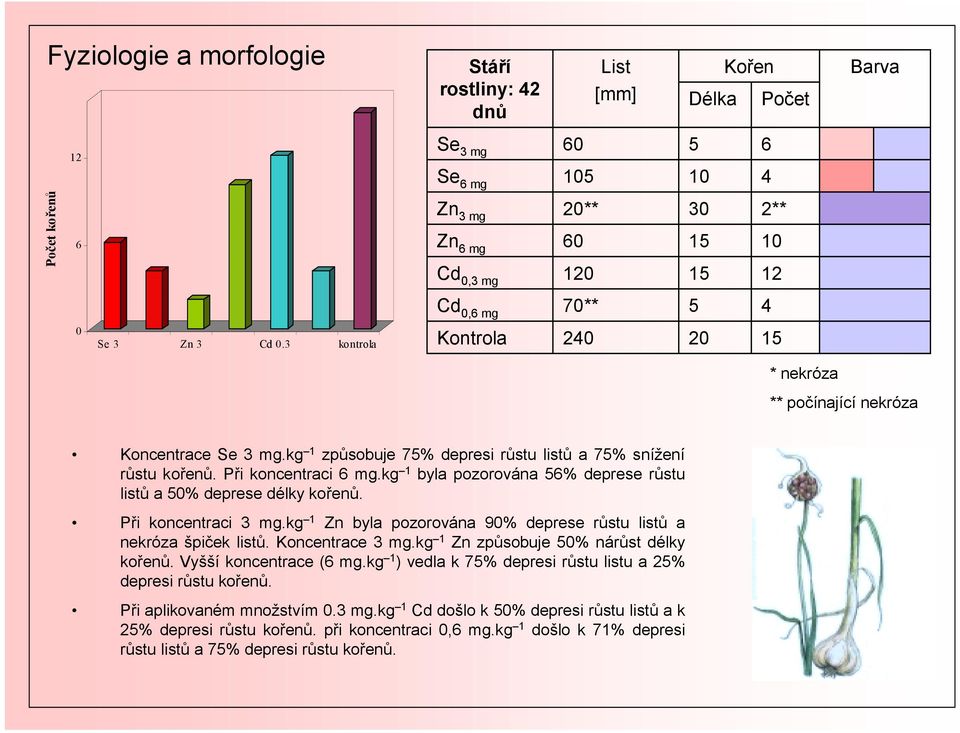 kg 1 byla pozorována 56% deprese růstu listů a 5% deprese délky kořenů. Při koncentraci 3 mg.kg 1 Zn byla pozorována 9% deprese růstu listů a nekróza špiček listů. Koncentrace 3 mg.