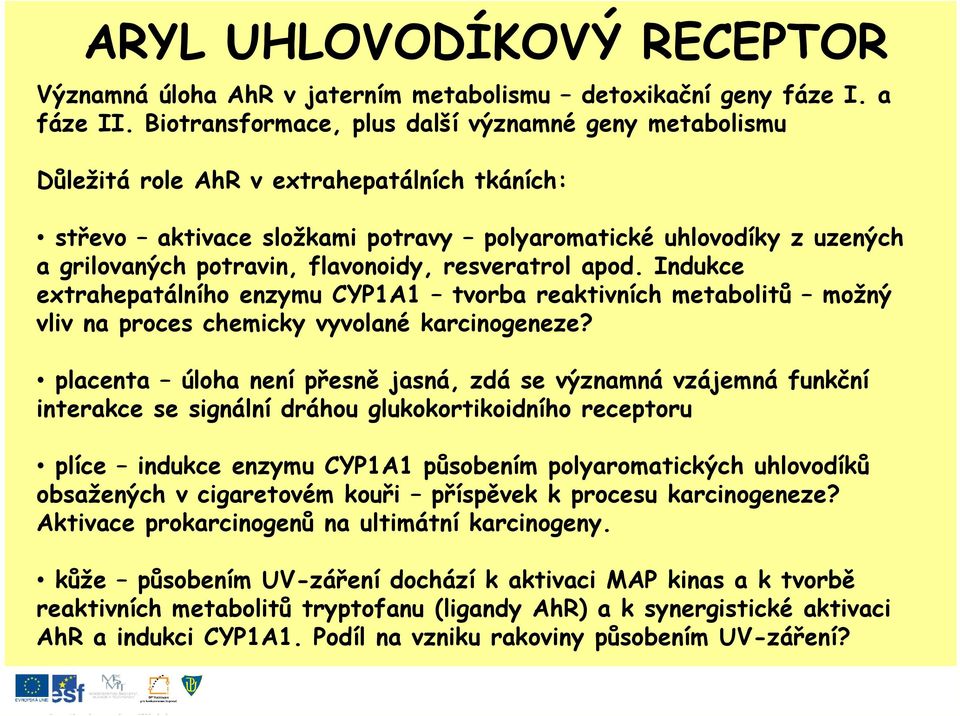 flavonoidy, resveratrol apod. Indukce extrahepatálního enzymu CYP1A1 tvorba reaktivních metabolitů možný vliv na proces chemicky vyvolané karcinogeneze?